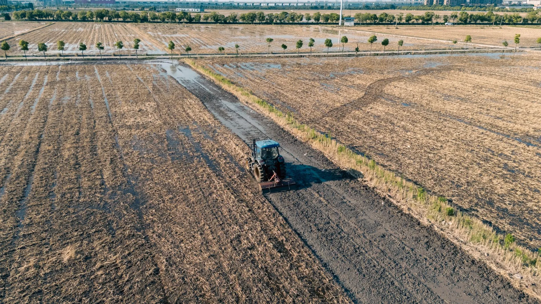 Agriculture Technology Solutions — Smart Farming & Agri-Tech