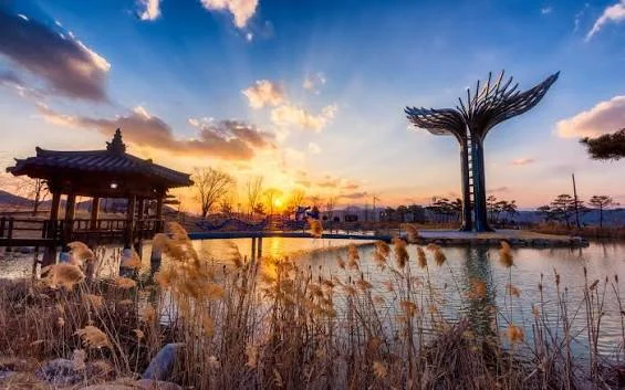 Daegu