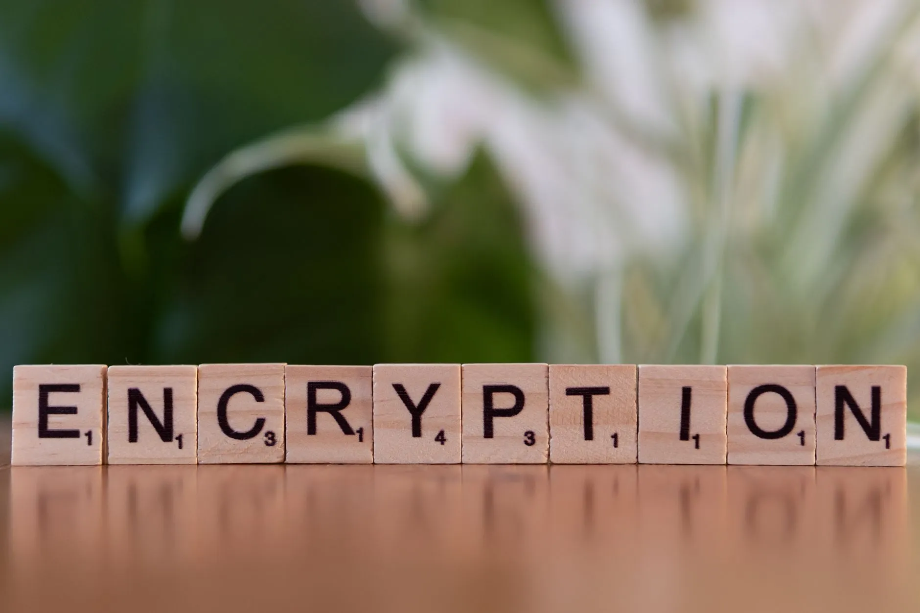 Fintech Technology Solutions