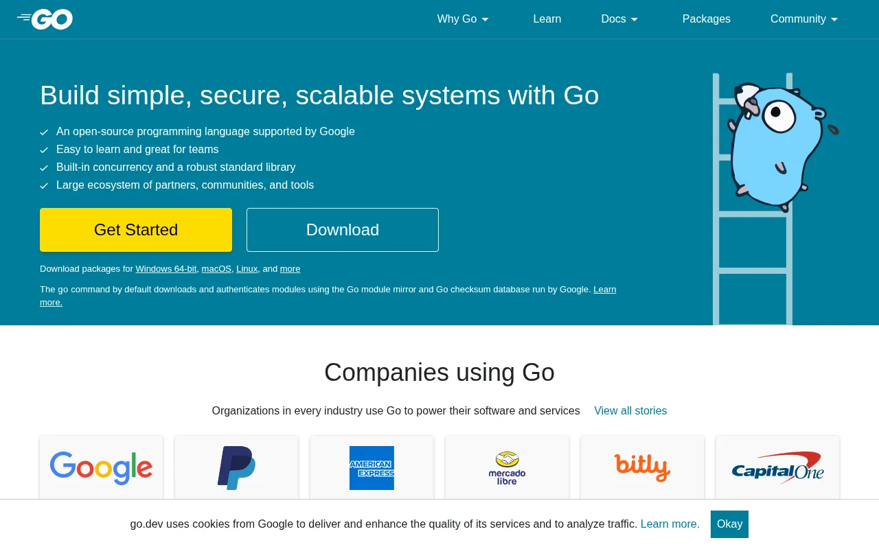 Go — High-Performance Backend Language